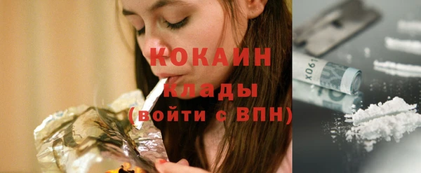 spice Богородицк