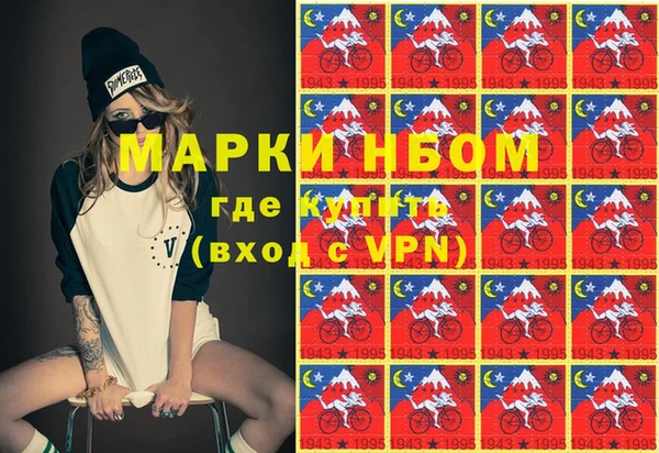 spice Богородицк