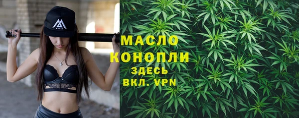 spice Богородицк