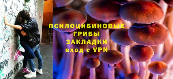 МДМА Белокуриха
