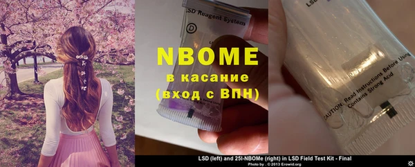 spice Богородицк